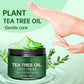🥳OFFERTA SPECIALE 2026🥳💞OLTRE 50.000 ESEMPLARI VENDUTI!✨ 💝Crema idratante lenitiva per i piedi all'aloe vera e tea tree