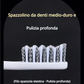 Spazzolino da denti medio con setole dure a marchio privato, confezione da 2 Set di spazzolini da denti con doppio manico per il giorno e la notte