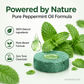 🥳💞Oltre 50.000 pezzi venduti!🏠🛡️ 50% DI SCONTO! Repellente universale contro tutti i parassiti – Sicuro per animali domestici e fauna selvatica. Senza sostanze tossiche, ma efficace. Utilizzabile sia all’interno che all’esterno. 🐾✅