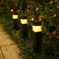 Luce Solare Antighiaccio per Esterni