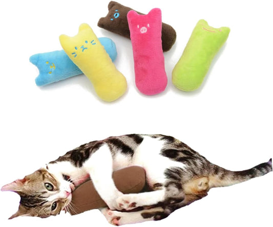 Gatto graffato creativo con erba gatta e cuscino da masticare per digrignare i denti, perfetto per i gatti