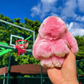 🏆OFFERTA SPECIALE A TEMPO LIMITATO -50% 🐰 Ciondoli morbidi a pompon con coniglietto fatti a mano