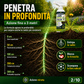 ⚡[Diserbo facile e senza stress in giardino] Diserbante per uso domestico
