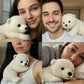 🔥Il Polar Pal ——Il peluche che ti calma in pochi secondi