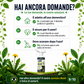 ⚡[Diserbo facile e senza stress in giardino] Diserbante per uso domestico