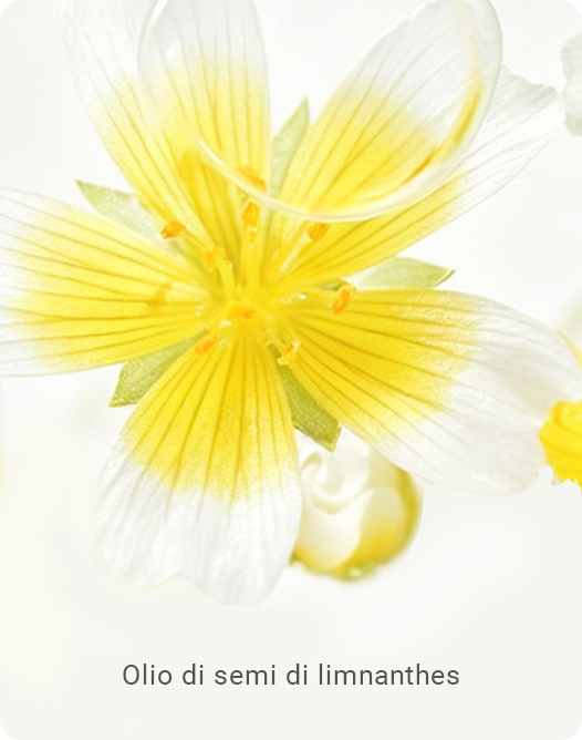 Meadowfoam seed oil