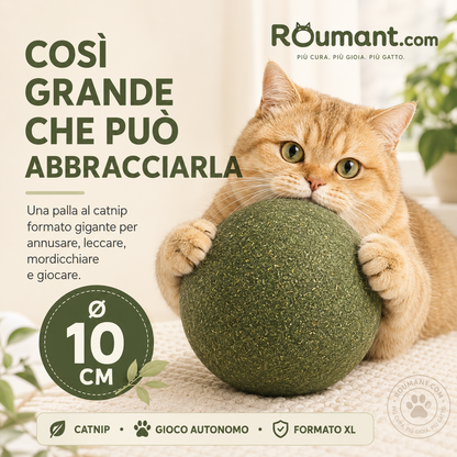 🐱🌿 PALLA GIGANTE DI ERBA GATTA NATURALE 10 cm – 50% DI SCONTO! Giocattolo da Masticare per Gatti, Interattivo alla Menta, Allevia lo Stress e Pulisce i Denti! 🧶✨