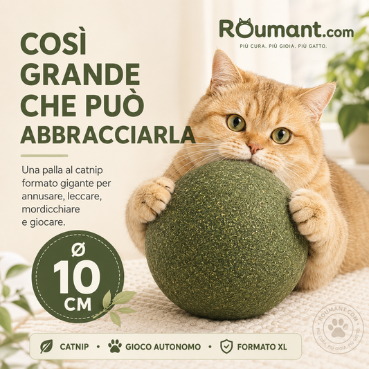 🐱🌿 PALLA GIGANTE DI ERBA GATTA NATURALE 10 cm – 50% DI SCONTO! Giocattolo da Masticare per Gatti, Interattivo alla Menta, Allevia lo Stress e Pulisce i Denti! 🧶✨