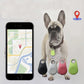 Localizzatore bidirezionale con allarme per animali domestici