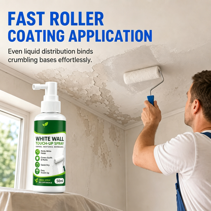 Liquido per la riparazione delle pareti e agente indurente