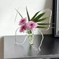 🦋 Vaso Farfalla Trasparente Decorativo