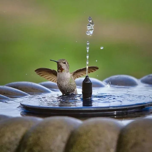 ✨Fontana galleggiante a energia solare, ideale per irrigatori da giardino in miniatura, giardini rocciosi e laghetti all'aperto✨