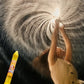 🌟BUY 1 GET 1 FREE - 2 PCS 🎆Firework Style Water Spray Toy🔫💧