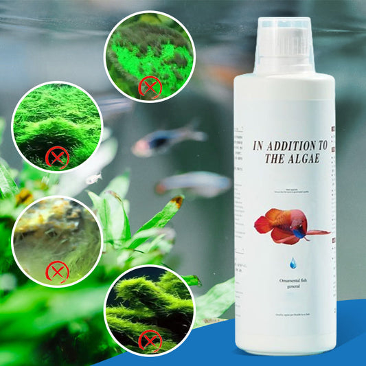 🎁 Offerta speciale: 50% di sconto 🔥 Controllo efficace delle alghe per acquari