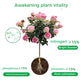 Fiori & foglie e polvere stimolante per le radici