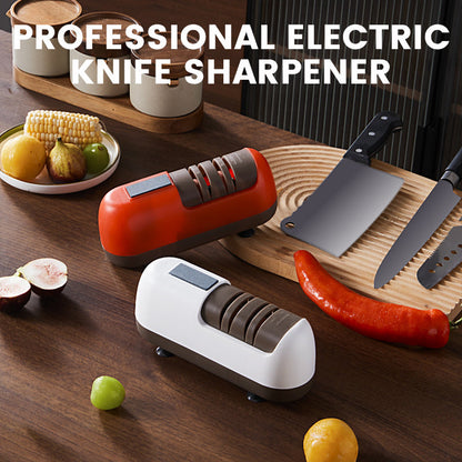Affilacoltelli elettrico professional