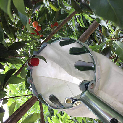 Cestello raccoglifrutta per alberi (senza manico)