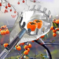 Cestello raccoglifrutta per alberi (senza manico)