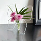 Vaso decorativo trasparente ispirato alle farfall