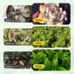Soluzione nutritiva generale per orticoltura per radic