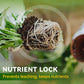 Soluzione nutritiva generale per orticoltura per radic