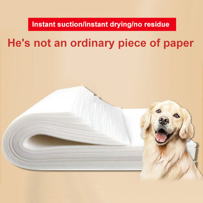 Carta assorbente per urine di cane