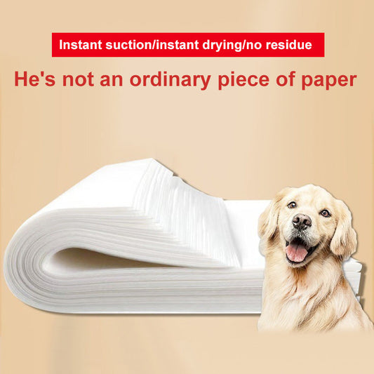 Carta assorbente per urine di cane