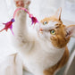 🎁GRANDE OFFERTA! Giocattoli per Gatti con Erba Gatta e Piume – Il Tuo Micio Impazzisce! 🐱✨