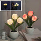🌷Lampada da Tavolo a Tulipano LED