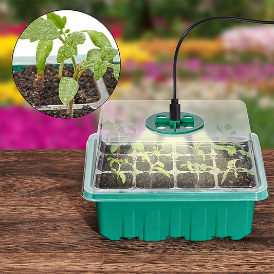 💎SCONTO DEL 60%! 💎 Vassoi per la germinazione con luce di coltivazione – Controllo dell'umidità, luce trasparente e a spettro completo 🌱💡