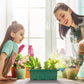 💎SCONTO DEL 60%! 💎 Vassoi per la germinazione con luce di coltivazione – Controllo dell'umidità, luce trasparente e a spettro completo 🌱💡