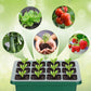 💎SCONTO DEL 60%! 💎 Vassoi per la germinazione con luce di coltivazione – Controllo dell'umidità, luce trasparente e a spettro completo 🌱💡