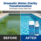 Liquido purificante per piscine