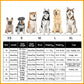 🐕Accappatoio per animali super assorbente😻