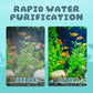 Filtro elettrico silenzioso per acquario