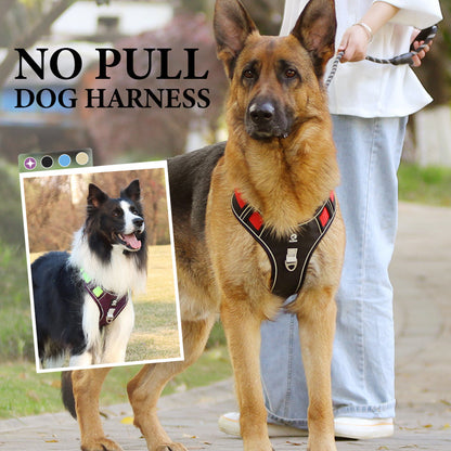 Pettorina per cani "No Pull" con guinzaglio e collare LED