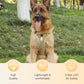 Pettorina per cani "No Pull" con guinzaglio e collare LED