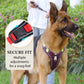 Pettorina per cani "No Pull" con guinzaglio e collare LED