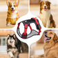 Pettorina per cani "No Pull" con guinzaglio e collare LED