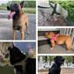 🔥ULTIMO GIORNO DI SALDI🏆✨Pettorina tattica per cani super resistente con maniglia