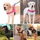 🔥ULTIMO GIORNO DI SALDI🏆✨Pettorina tattica per cani super resistente con maniglia