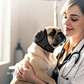 🐶 Fascia Copri-Orecchie Regolabile per Cani