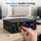 Amplificatore digitale per karaoke e musica