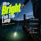 Lampada ultra-luminosa per trappole da pesca