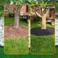 Bordura da Giardino Flessibile da 10 m con 30 Picchetti – Installazione Senza Scavo