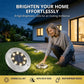 Luci da giardino solari a 8 LED per esterni