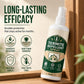 Spray repellente per termiti su diverse superfici in legno