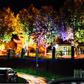 🌳💡 Lampada Anulare LED per Alberi e Pilastri – IP67, Alluminio + Vetro Temperato, 12W, 24V o 220V, 3 Colori Luce – Posa a Terra o Montaggio su Palo 🌟✨