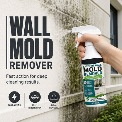 Spray antimuffa per pareti ad azione rapida
