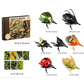 Set di giocattoli con simulazione di insetti alati a carica meccanica con schede didattiche